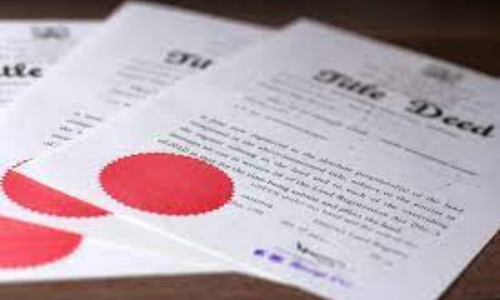 Esteem Surveyors & Associates Ltd | Gallery Image 2